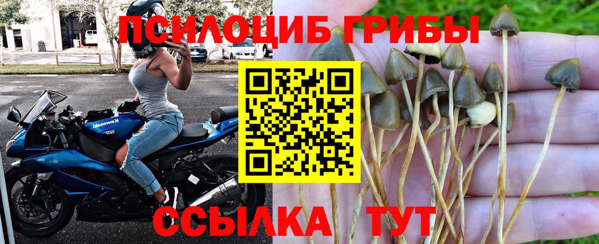 Галлюциногенные грибы Cubensis  Вход с VPN  Балабаново  Псилоцибиновые грибы MAGIC MUSHROOMS 