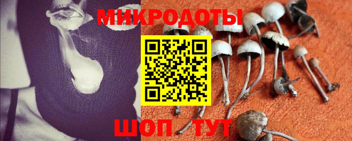 Галлюциногенные грибы Magic Shrooms Балабаново